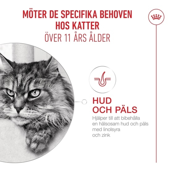 Royal Canin Ageing 11+ Bitar i Gelé Våtfoder för Katt 1,02 kg