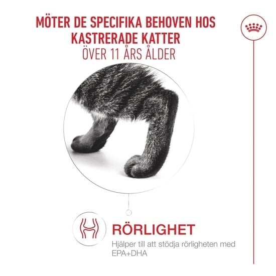 Royal Canin Ageing 11+ Sterilised Torrfoder för Katt 2 kg