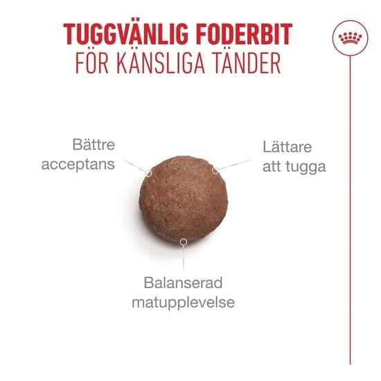 Royal Canin Ageing 11+ Sterilised Torrfoder för Katt 2 kg