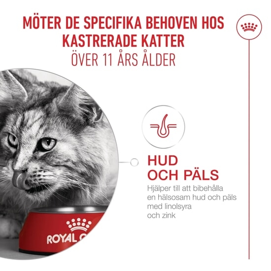 Royal Canin Ageing 11+ Sterilised Torrfoder för Katt 4 kg