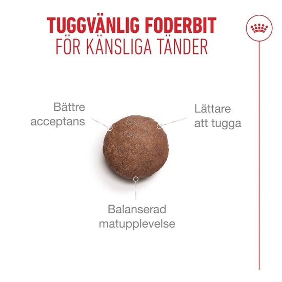 Royal Canin Ageing 11+ Torrfoder för Katt 4 kg