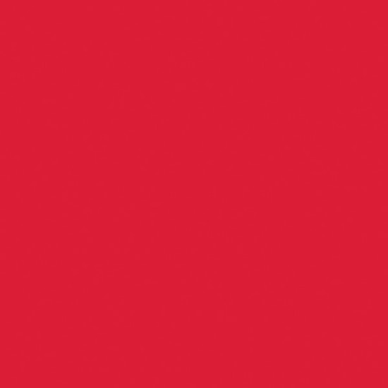 Wet n Wild Color Icon Lipliner Berry Red 1,4 g