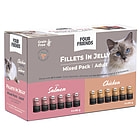 fourfriends-cat-adult-in-jelly-mix-12-pack