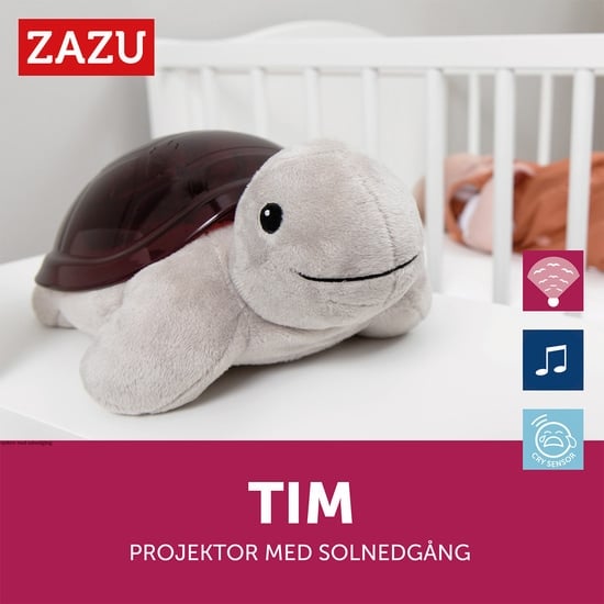 Zazu Projector Tim the Turtle