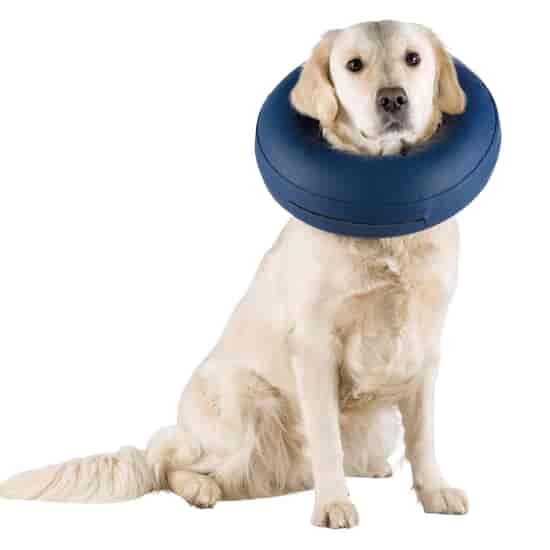 Trixie Hundkrage Uppblåsbar L-XL 66-78 cm Blå