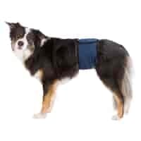 Trixie Hanhundsskydd S-M 37-45 cm Mörkblå