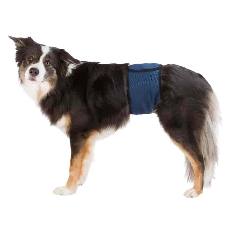 Trixie Hanhundsskydd L 55-65 cm Mörkblå