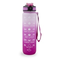 Sthlm Hydra Bottle Light Pink/Pink 1000 ml