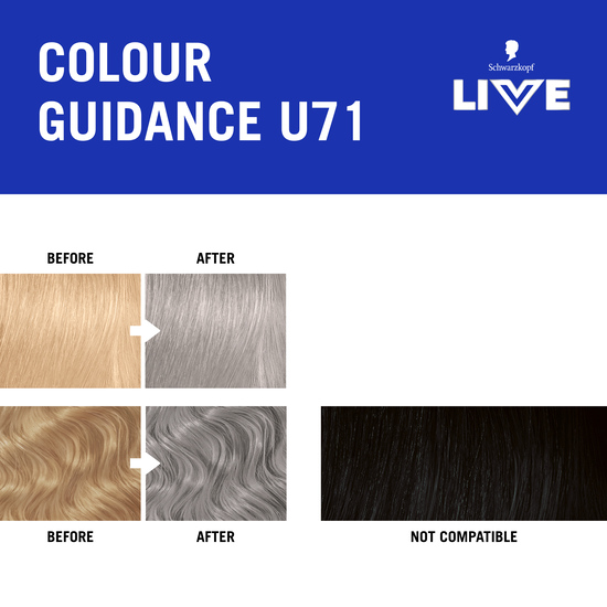 Schwarzkopf LIVE Intense Color U71 Metallic Silver