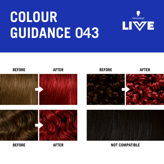 Schwarzkopf LIVE Intense Color 43 Red Passion