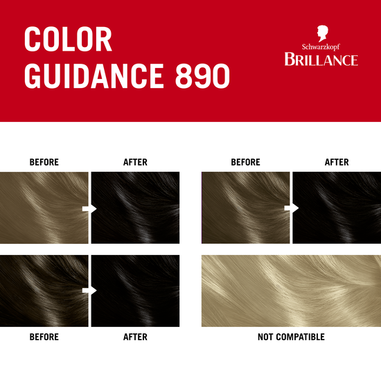 Schwarzkopf Brillance 890 Black