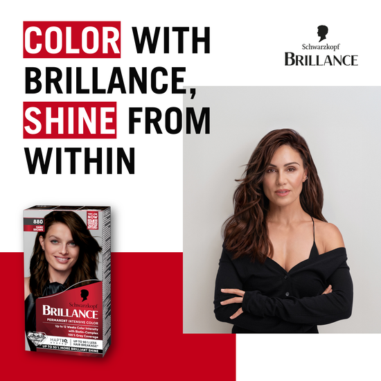 Schwarzkopf Brillance 880 Dark Brown
