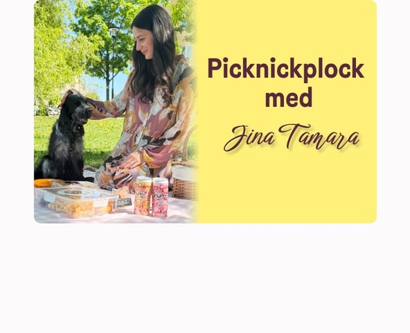 Jina Tamaras perfekta picknick-plock