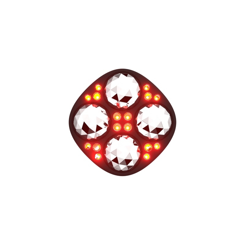 FAQ Swiss FAQ™ 411 Microcurrent Red LED Body Toning Device