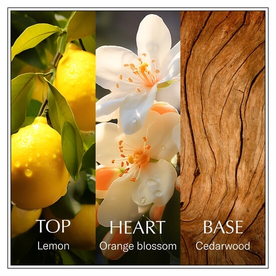 Chanson d'Eau Lemon EdT 100 ml
