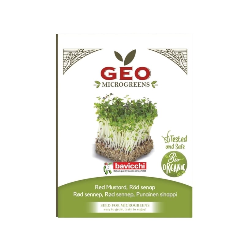 GEO Senap Röd Microgreens EKO 200 g