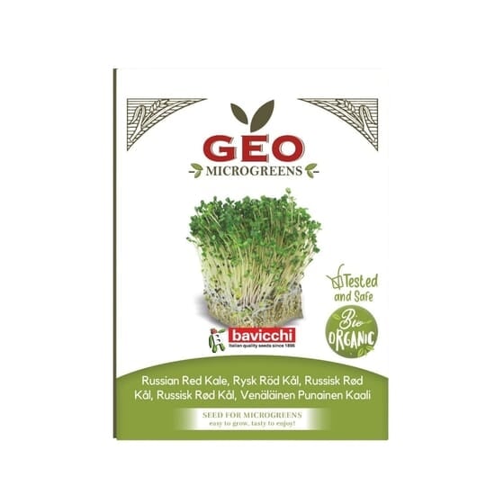 GEO Grönkål Red Russian Microgreens EKO 300 g