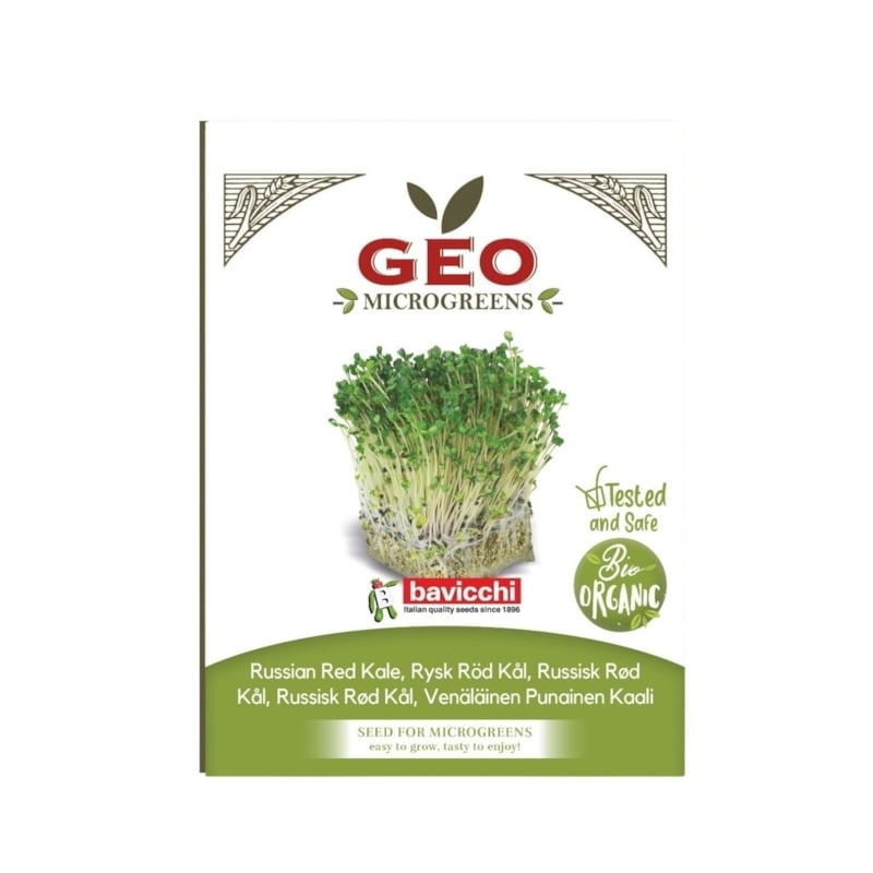 GEO Grönkål Red Russian Microgreens EKO 300 g