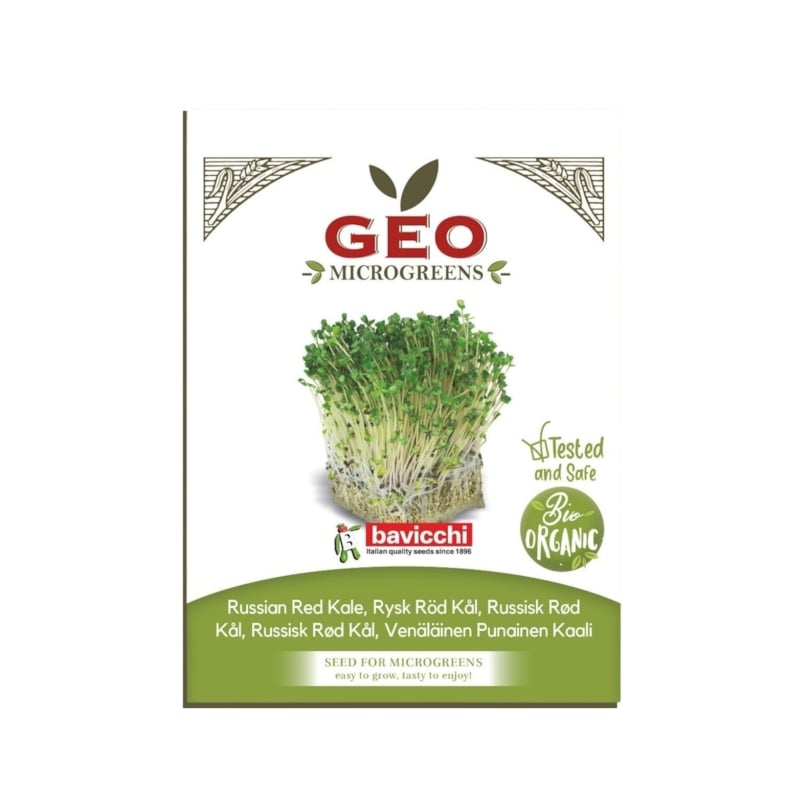 GEO Grönkål Red Russian Microgreens EKO 15 g
