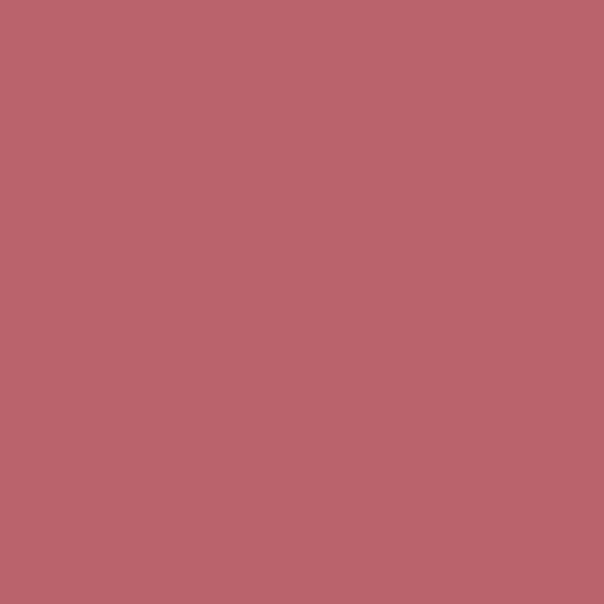 IsaDora The Matte Lipstick 10 True Blossom 1,6 g