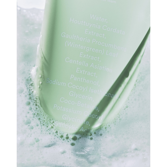 Abib Acne Heartleaf Foam Cleanser 150 ml 