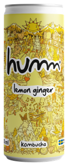 Humm Kombucha Lemon Ginger Sleek 33 cl