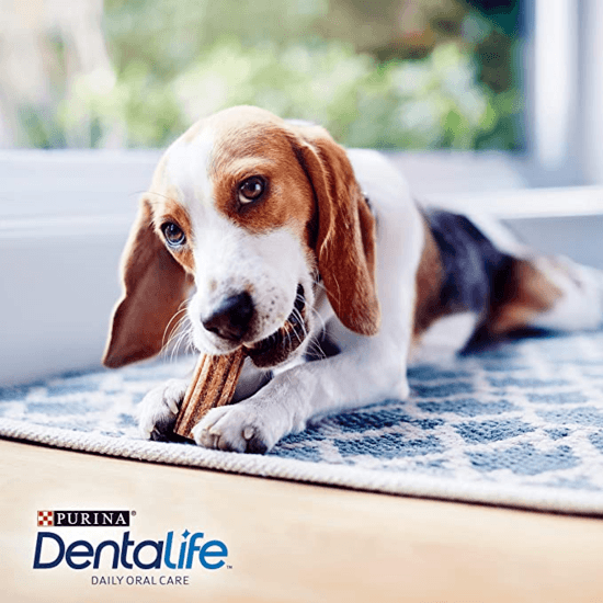Purina DentaLife Small 7-10 kg Big Pack 30 st