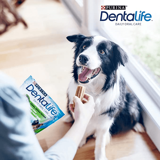 Purina DentaLife Medium 12-25 kg Big Pack 24 st