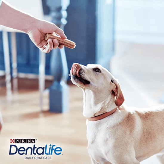 Purina DentaLife Large 25-40 kg Big Pack 18 st