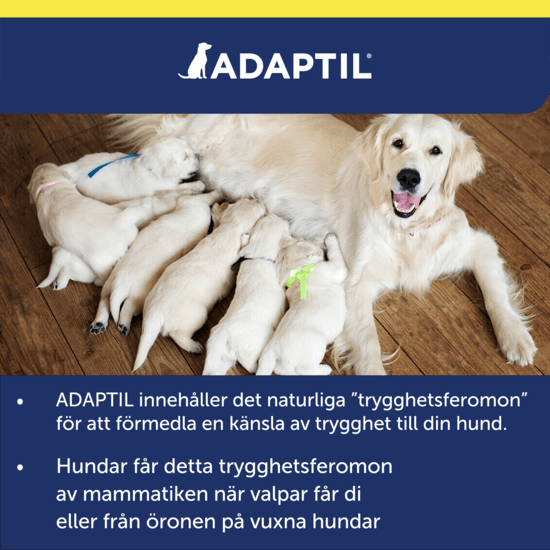 Adaptil Transport Spray 60 ml