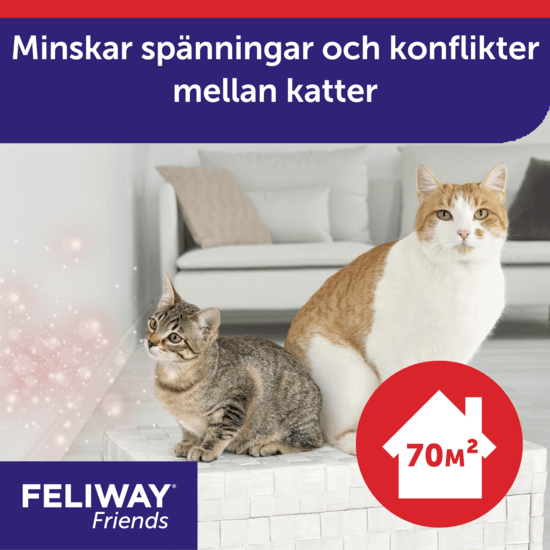 Feliway Friends Refill 48 ml