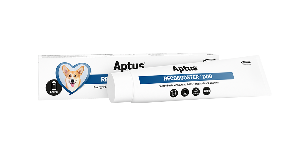 Aptus Aptus Recobooster Dog 100 g