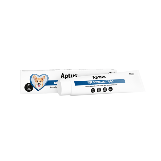 Aptus Aptus Recobooster Dog 100 g