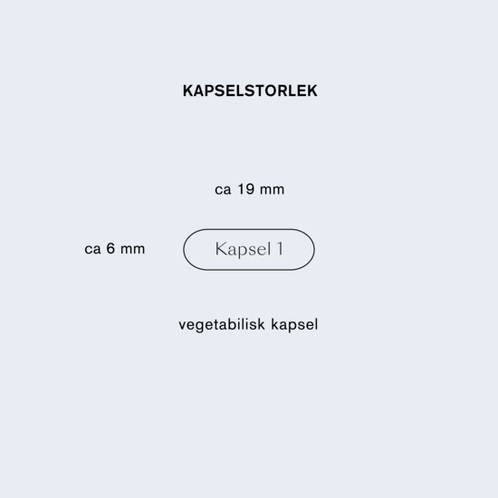 Holistic D3-vitamin 3200 IE 90 kapslar