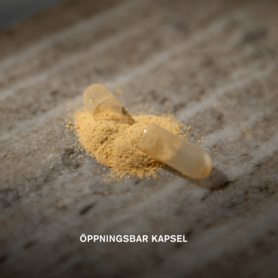 Holistic Femme Paus 90 kapslar