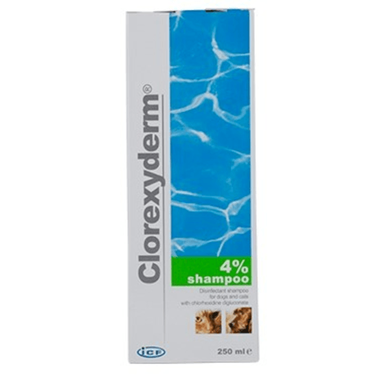 ICF Clorexyderm Schampo 250 ml