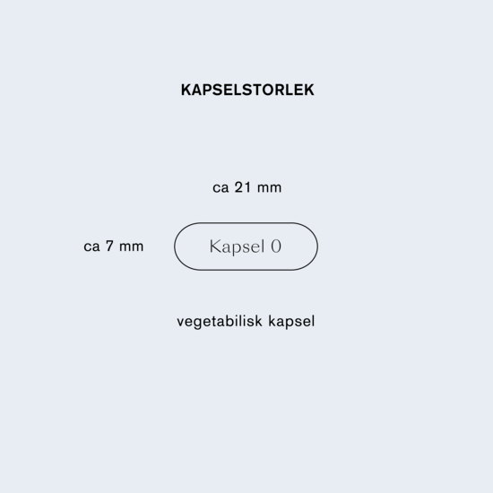 Holistic NAD+ 30 kapslar