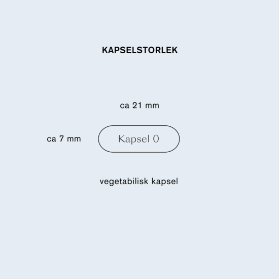 Holistic Lion's Mane 60 kapslar