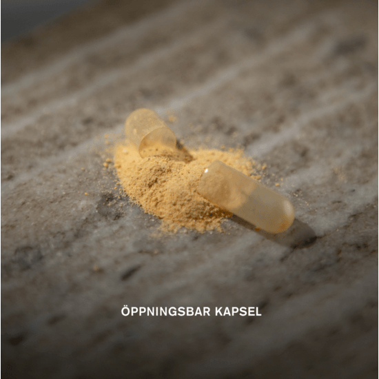 Holistic D3-vitamin Vegan 2000 IE (50 µg) 90 kapslar