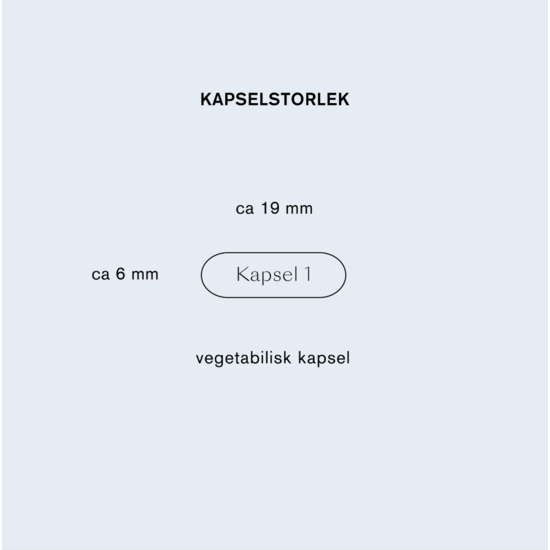Holistic D3-vitamin Vegan 2000 IE (50 µg) 90 kapslar