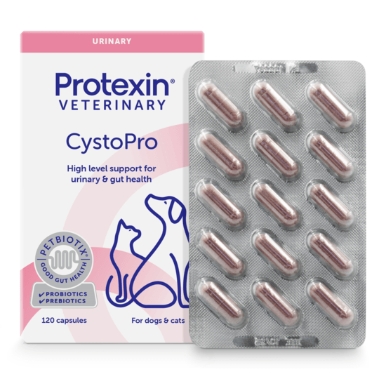 Protexin Veterinary Cystopro för Hundar 120 kapslar