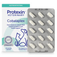 Protexin Veterinary Cobalaplex för Hundar och Katter 60 kapslar