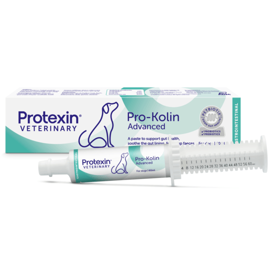 Protexin Veterinary Pro-Kolin Advanced 60 ml