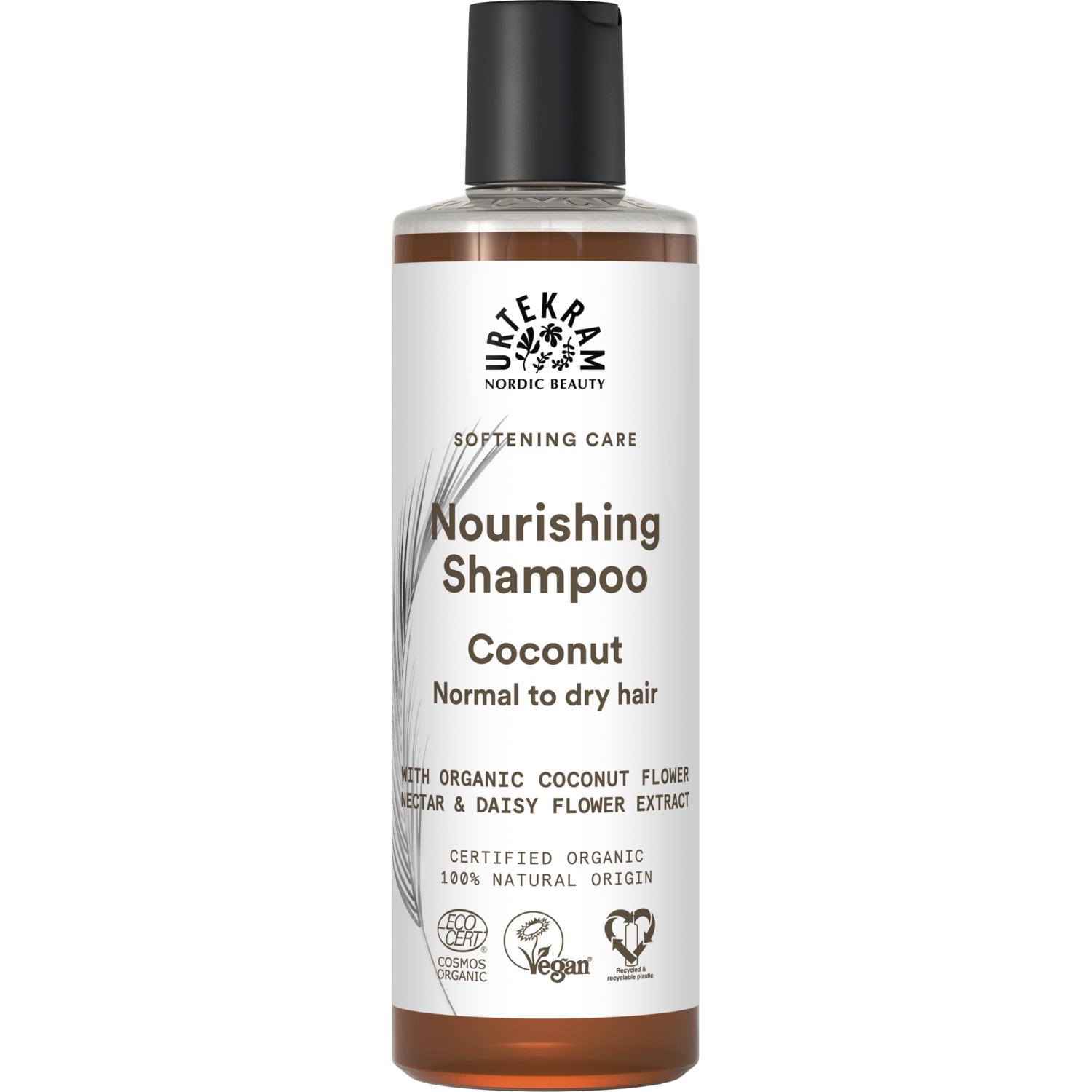 Alternativ bild 1 för Urtekram Nordic Beauty Urtekram Coconut Shampoo 250 ml