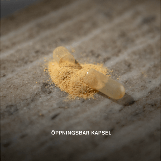 Holistic Femme Omega-7 havtornsolja 90 kapslar