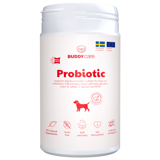 BuddyCare Probiotic 150 g