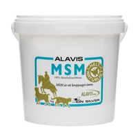 Ion Silver MSM Alavis 1 kg