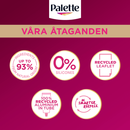 Palette Intensive Creme Coloration 1-0 Naturlig Svart