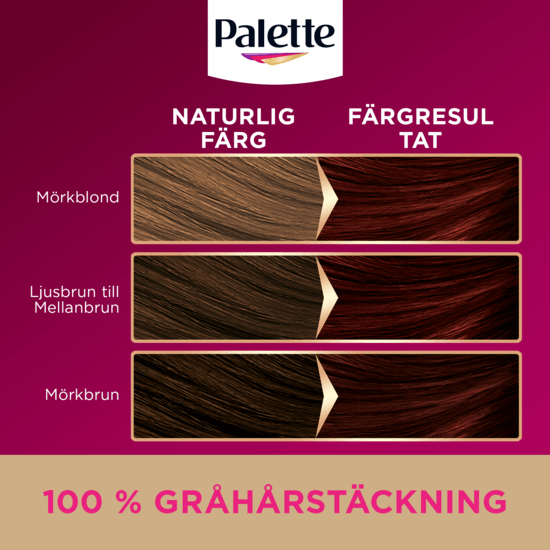 Palette Intensive Creme Coloration 4-6 Moccabrun