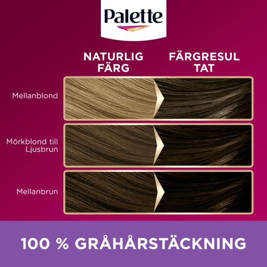 Palette Intensive Creme Coloration 5-11 Ljus Askbrun